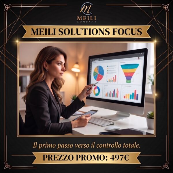 MEILI SOLUTIONS FOCUS